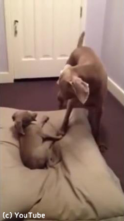 ���������Υ٥åɤ�å���Ҹ�04