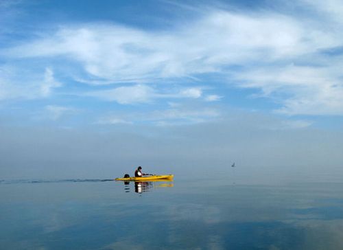 ターニップ・ロック06