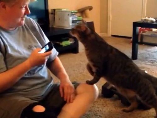 ǭ�ȥ��ޡ��ȥե���01