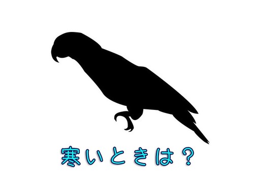 鳥が暖を取るとき00