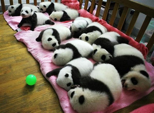 �����򴶤���03