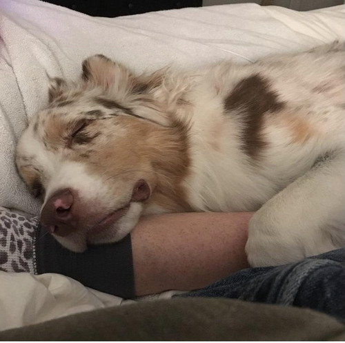 �岼���狼��䤹����01