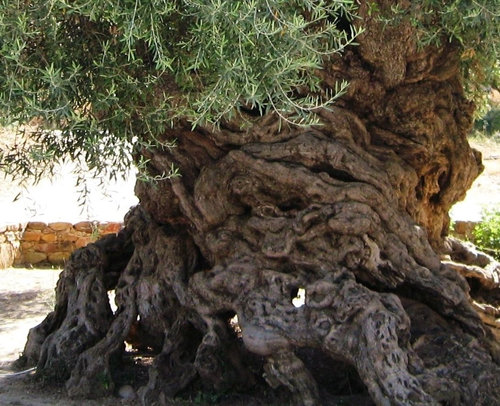 ����2000ǯ�Υ��꡼�֤���02