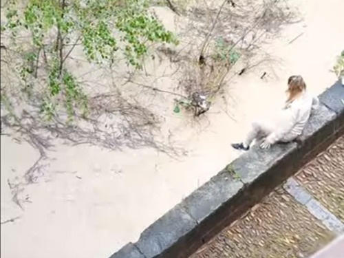 「にごった水もなんのその…」猫を救うために川に女性が飛び込む（動画）