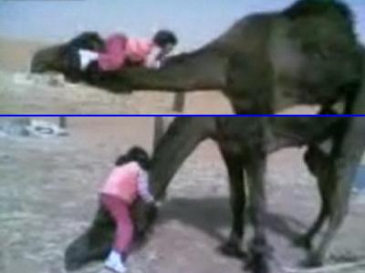 �Τ����ζ�ε�Τ褦�ʡ��饯����3�Фξ���