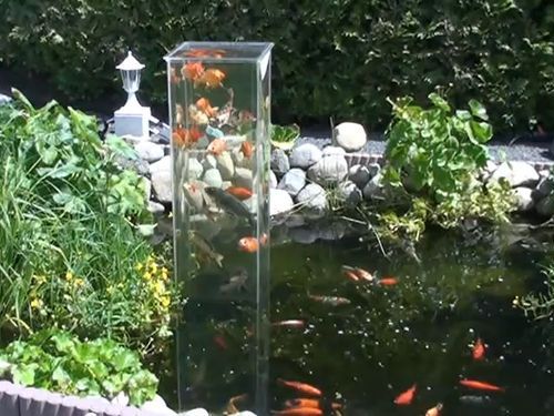 リアル鯉のぼり