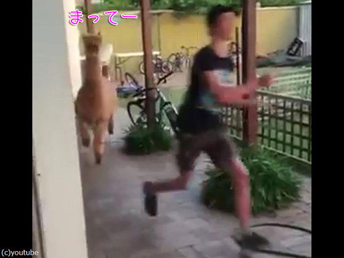 ����ѥ����ɤ���������00