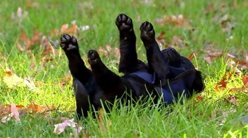 �����ӥ����λҸ�02