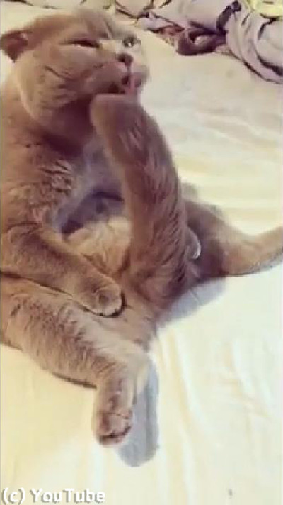 �ӤŤ��������Ƥ�ȿ������ԡ���Ȥ����㤦ǭ02