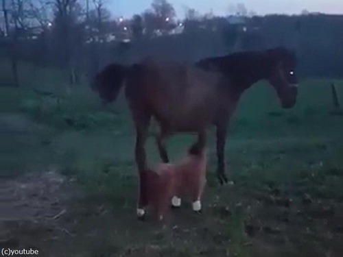 �ϤȤ̤�����ߤ���04