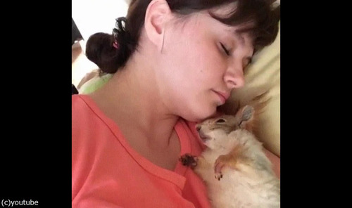 �ɥ�ޥ��å��ʥꥹ���ܳФ�04