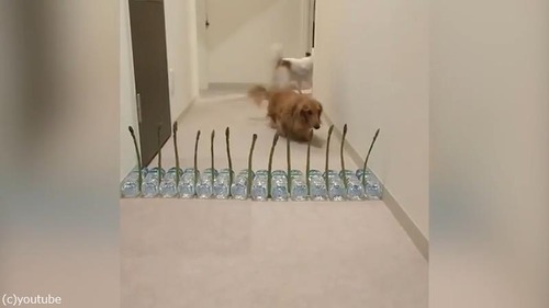 �����ѥ饬��VS��03