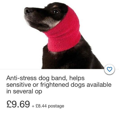 �ֲФβ������ȥ쥹�θ�����饤�եϥå�03