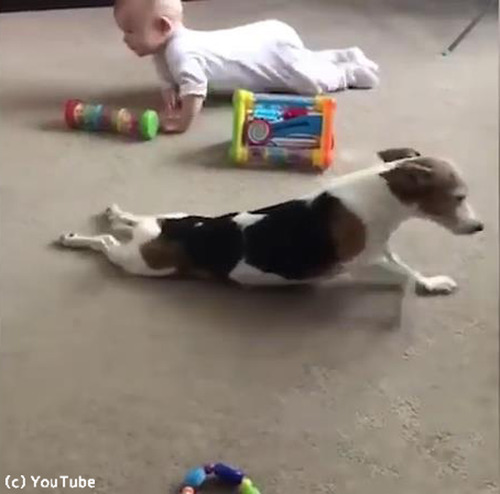 �֤����˥ϥ��ϥ��򶵤��븤03