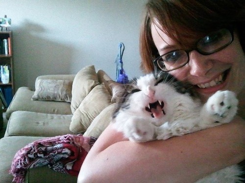 自撮りに付き合わされる猫12