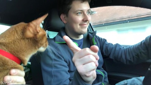 ���ξ��ʥͥå��������礵��ι�ޤˤ��碌�ơ�02