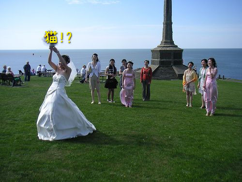 結婚式のブーケを猫に00
