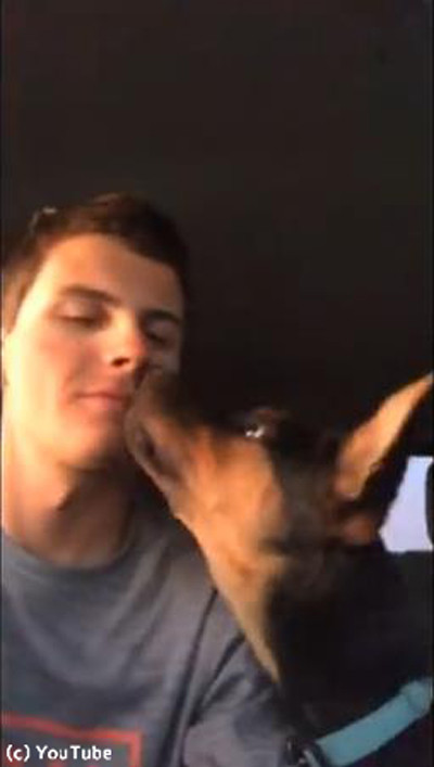 飼い主さんにキスされたシェパードの子犬02