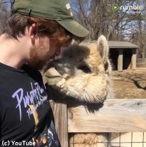 ����ѥ��Ҿ���٤˽���Ǥ���ȡĤ���ʤ������Ȥ�����04