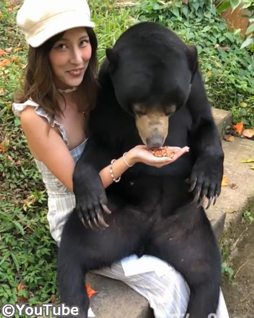 バリ島には人懐っこいマレーグマがいるらしい02