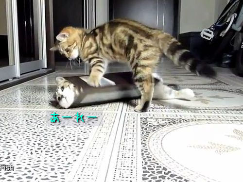 ǭ����ؤ֡����Ȥ��ƤΤդ�ޤ�06