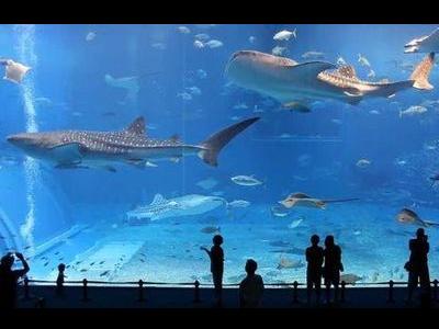 沖縄美ら海水族館