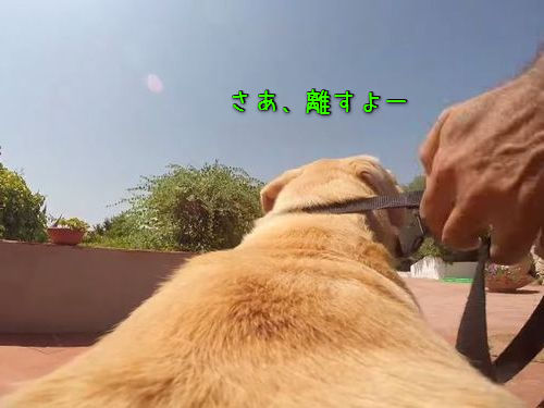 ���������ʸ�00