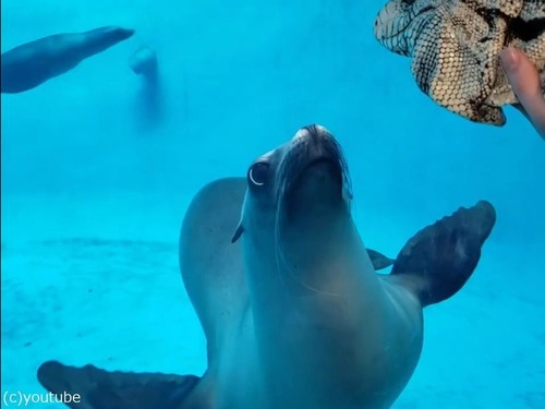 �������ȥȥ���04