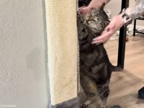 \\·\\··ď돢폢\\ԏ¼\¹