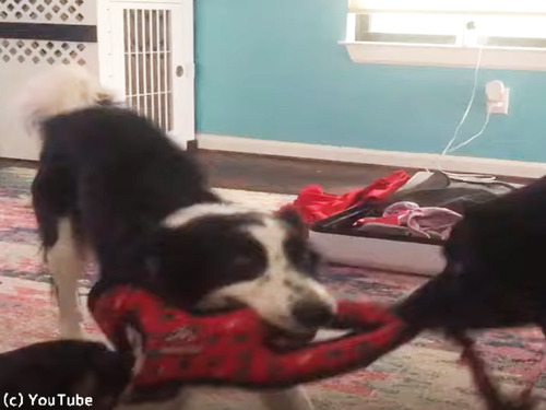 ����������礦3ɤ�Υ��꡼���ʤ󤫷ݽ�Ū00