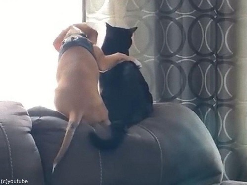 �����Ȥฤ��ǭ00