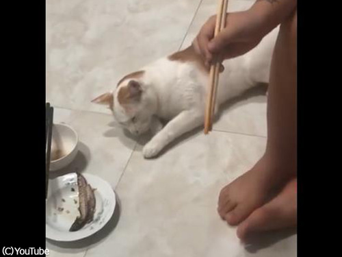 դ򤷤繥ʪ򥲥åȤǭ00