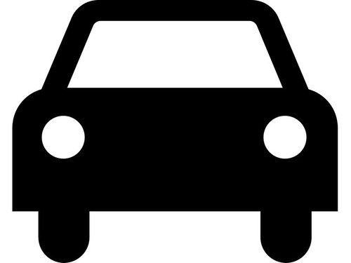 車の乗り方が独特な犬