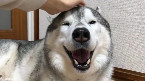 ��Ǥ���Ⱦд�ˤʤ�ϥ�����01