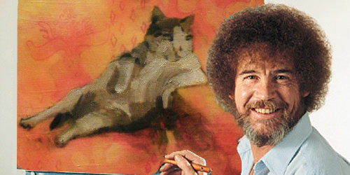 余裕のある猫10