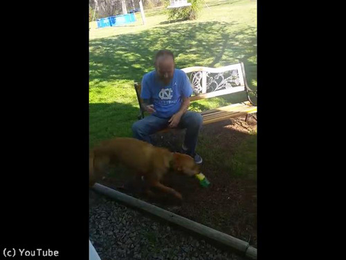 入院していた飼い主と感動の再会05