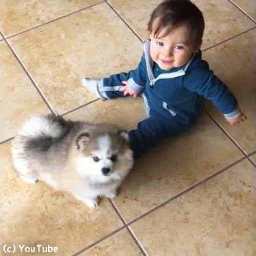 �ֻ�����˻���פϤ�ä����������03