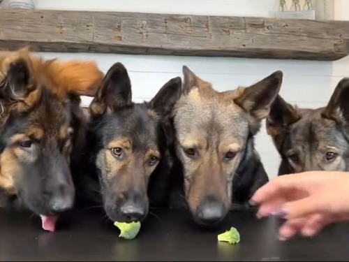 \\¼\\\·\\Џ¼\\؏¼\\\\¼¹