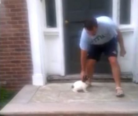 階段が怖い子犬…まさかの方法01