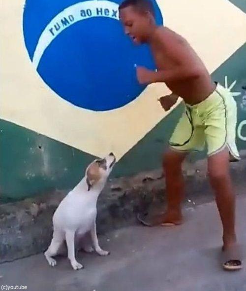 �֥饸��ϸ����äƥ����˥Х�01
