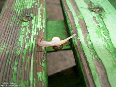 のびのびーーっ06