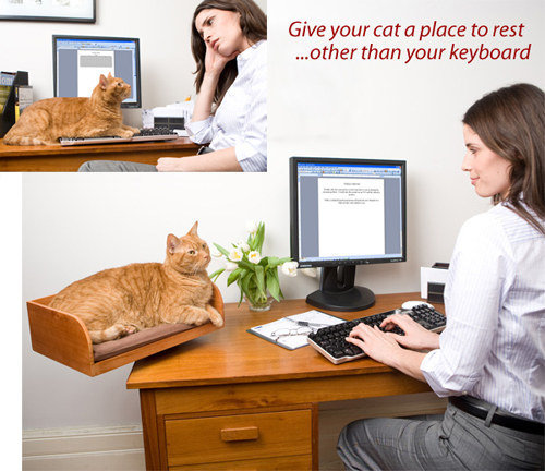 ペットのインテリア13