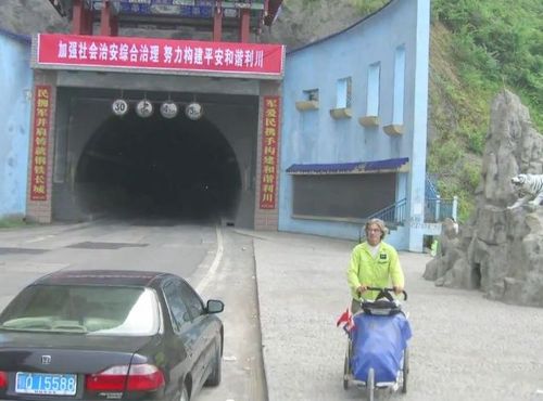 11ǯ�⤯����04