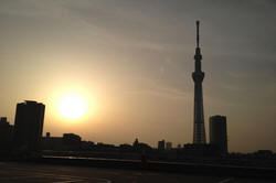 i-Phone�ǻ���