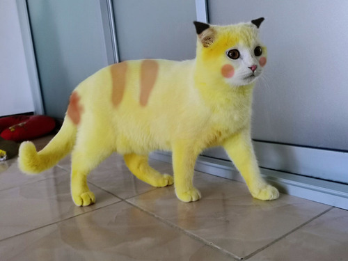 ���ŤΥ�����ǥԥ����奦������ǭ08