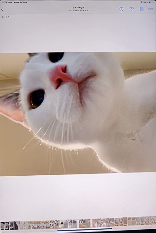 iPad��ǭ��������01