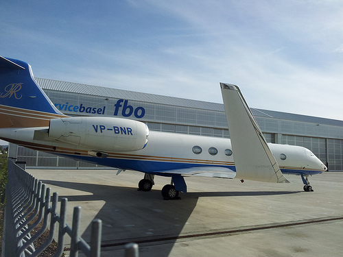 空港で毛虫の死骸を密輸00