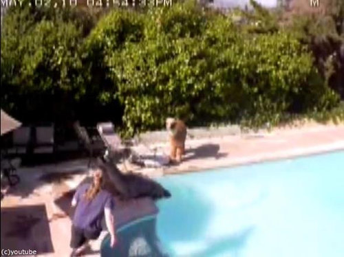 ����ѥ��Υ٥ӡ����å���������03