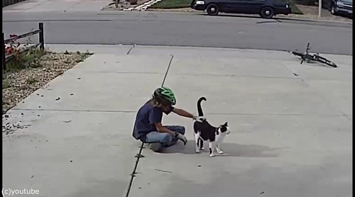 ���ξ�ǯ���������������ܤ�ǭ����Ǥˤ�äƤ���04