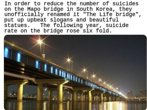 自殺防止の標語掲げたら「6倍増」の橋01